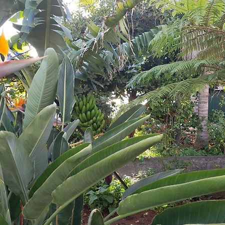 City View Gardens Funchal  Exterior foto