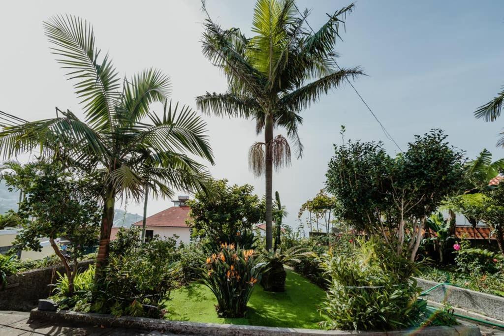 City View Gardens Funchal  Exterior foto