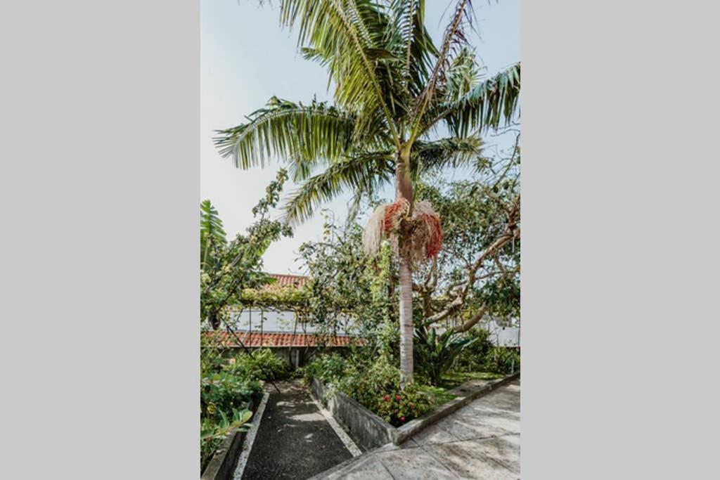 City View Gardens Funchal  Exterior foto