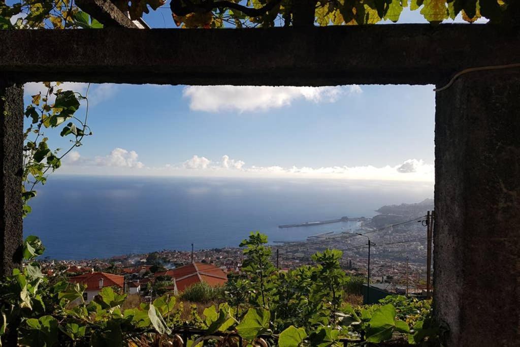City View Gardens Funchal  Exterior foto